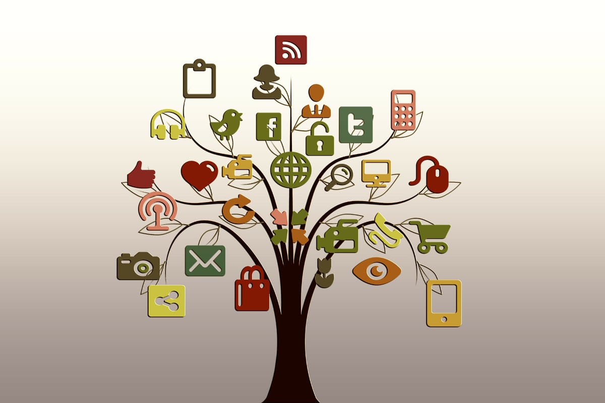tree-200795_1920 content optimization, social media marketing